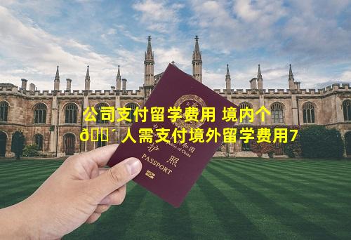 公司支付留学费用 境内个 🌴 人需支付境外留学费用7